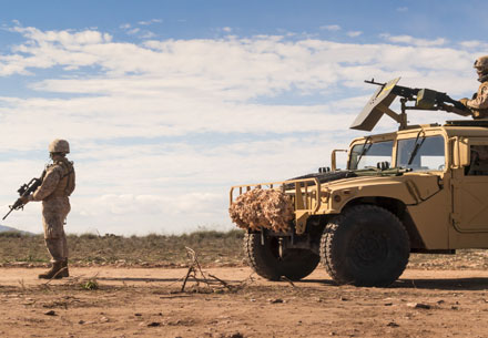 Firearms & Defense Firearms & Defense